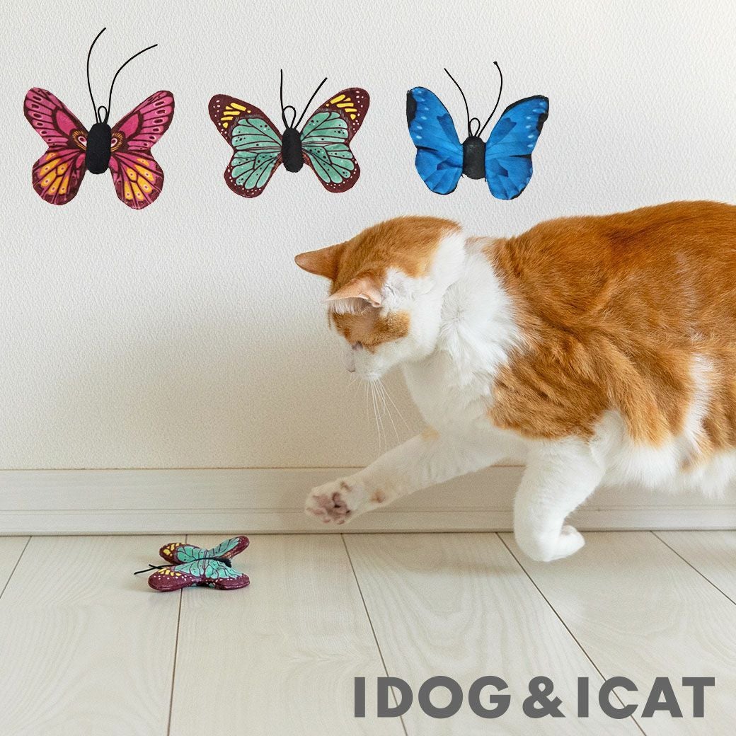 iCat ちょうちょ カシャカシャとキャットニップ入り アイキャット-犬猫