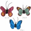 全3カラー