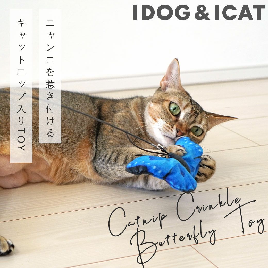 iCat ちょうちょ カシャカシャとキャットニップ入り アイキャット-犬猫