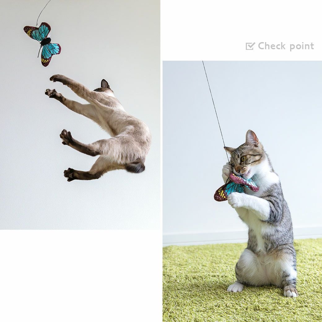 iCat ちょうちょ カシャカシャとキャットニップ入り アイキャット-犬猫