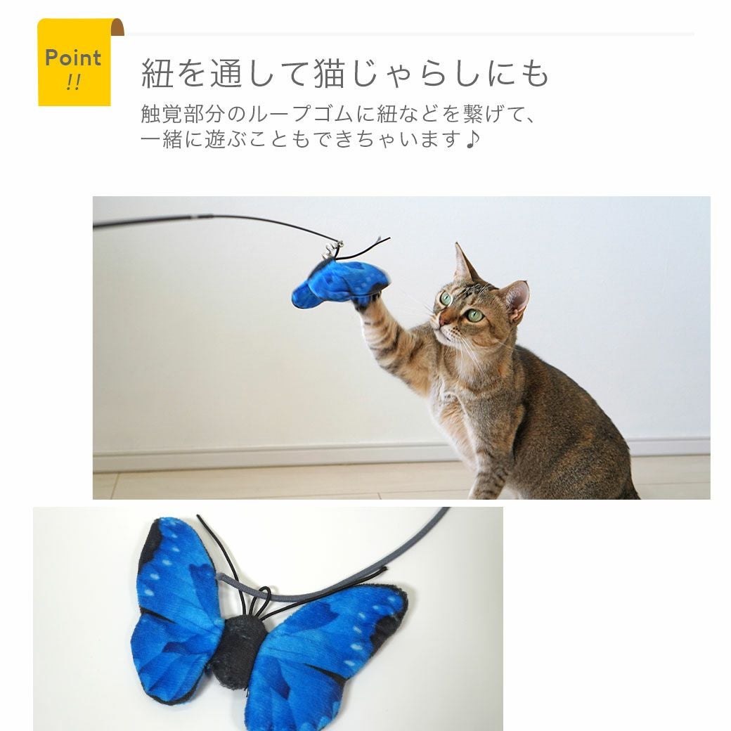iCat ちょうちょ カシャカシャとキャットニップ入り アイキャット-犬猫