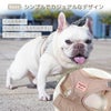 こだわりのデザイン
