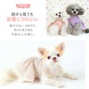 前から見ても完璧にかわいいドッグウェア