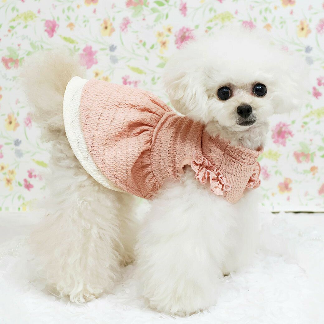 iDog レースフリルワンピ iDog fleur アイドッグ-犬猫用品通販