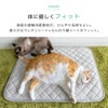 体に優しくフィット
