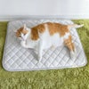 MIX8.6kg(首25/胴54/丈34cm)のゆづるくんはグレーを使用