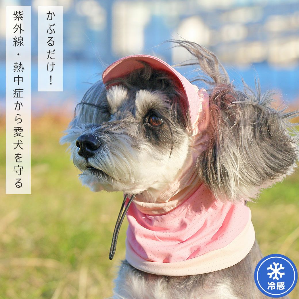 iDog 日よけメッシュスヌード 接触冷感 アイドッグ-犬猫用品通販
