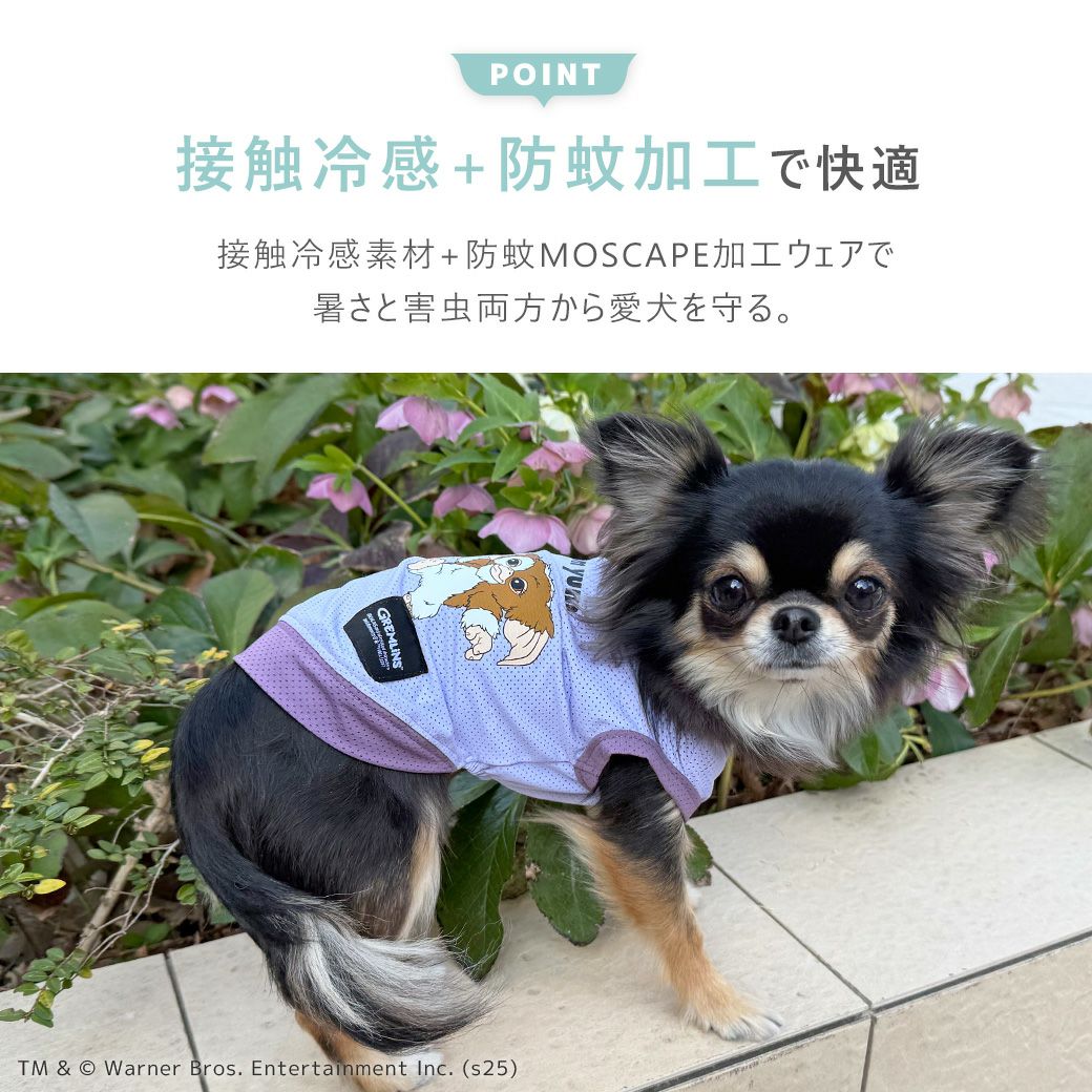iDog COOL+MOSCAPE GREMLINSギズモのメッシュタンク アイドッグ-犬猫