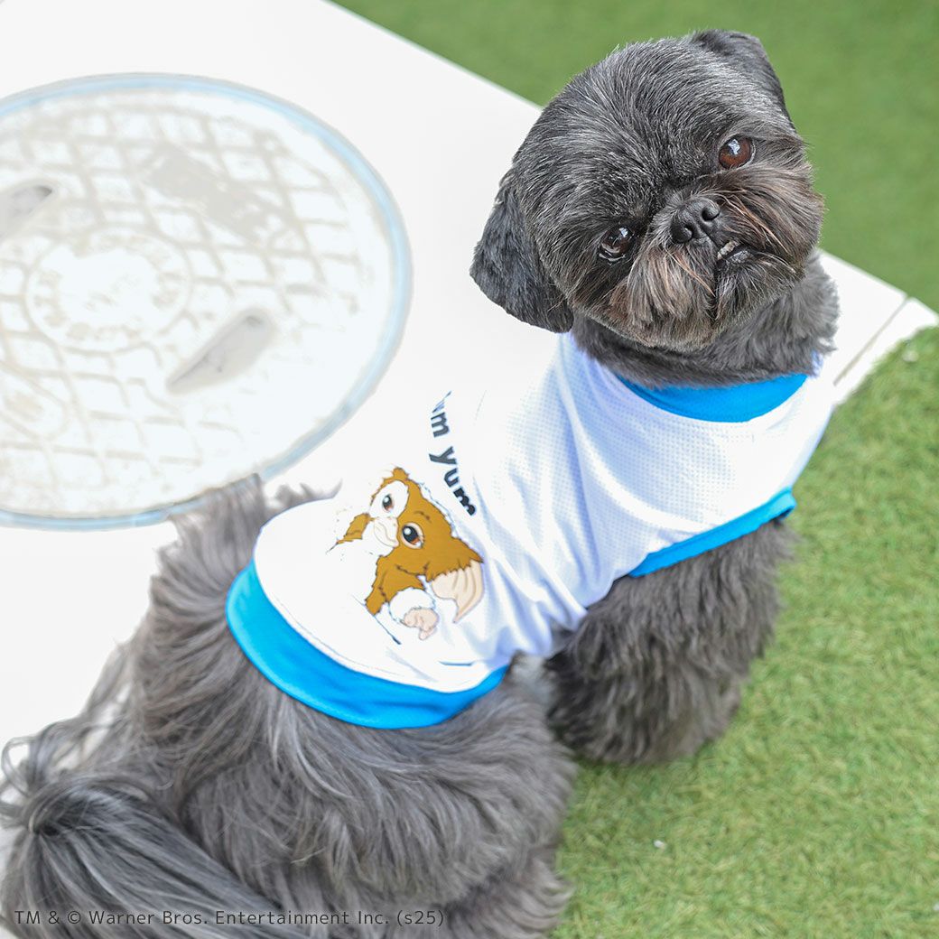 iDog COOL+MOSCAPE GREMLINSギズモのメッシュタンク アイドッグ-犬猫