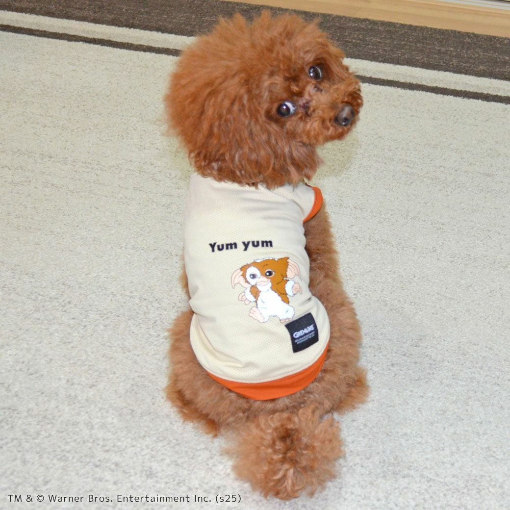 iDog COOL+MOSCAPE GREMLINSギズモのメッシュタンク アイドッグ-犬猫