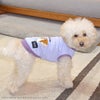 iDogCOOL+MOSCAPEGREMLINSギズモのメッシュタンクアイドッグ