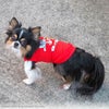 iDogCOOL+MOSCAPETOMandJERRYタンクアイドッグ