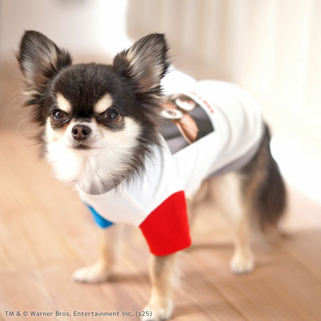iDog COOL+MOSCAPE GREMLINSギズモの3つの約束Tシャツ アイドッグ-犬猫用品