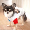 iDogCOOL+MOSCAPEGREMLINSギズモの3つの約束Tシャツアイドッグ