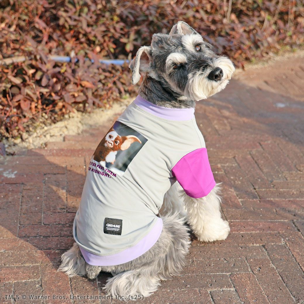iDog COOL+MOSCAPE GREMLINSギズモの3つの約束Tシャツ アイドッグ-犬猫用品