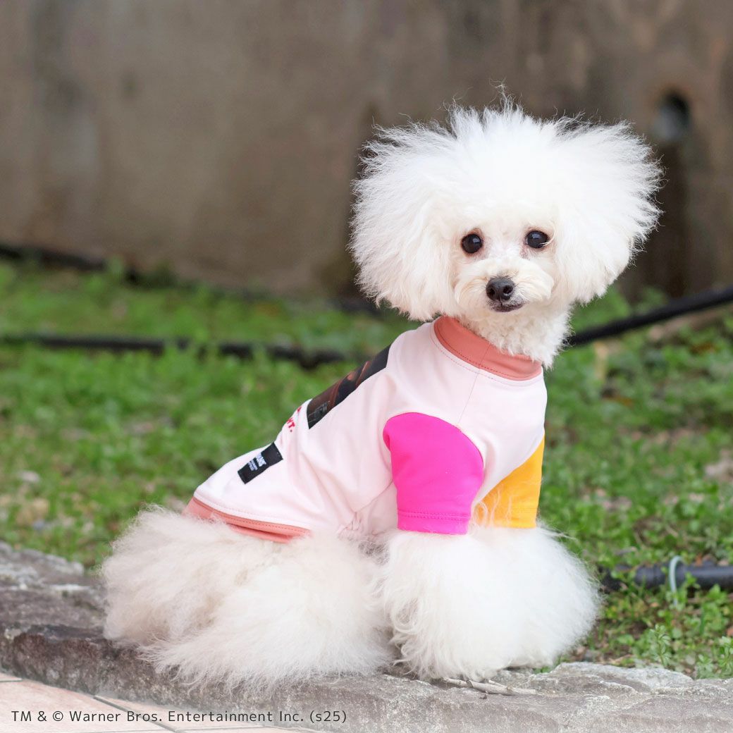 iDog COOL+MOSCAPE GREMLINSギズモの3つの約束Tシャツ アイドッグ-犬猫用品