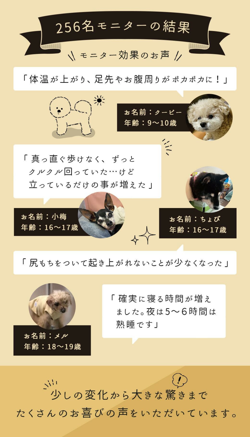 モニターの声