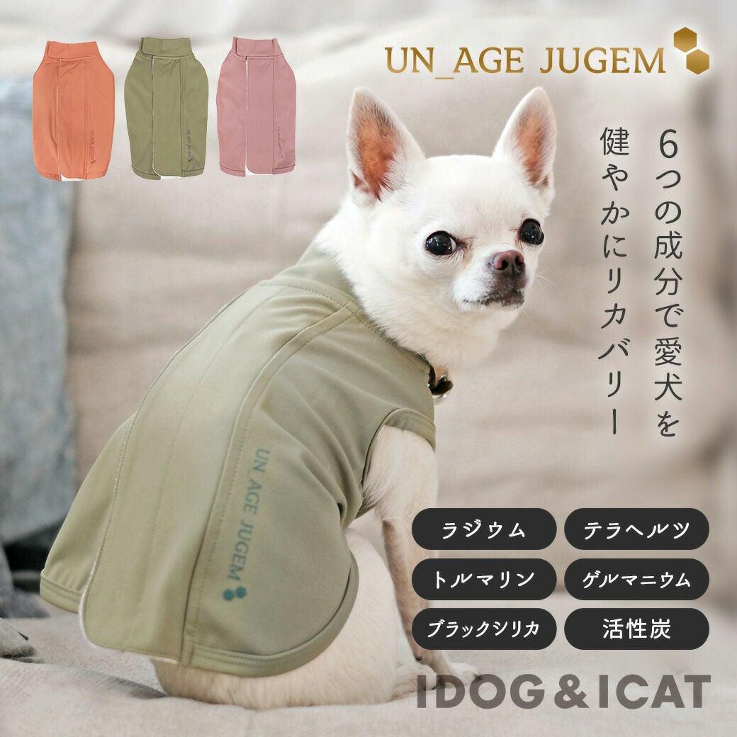 あいちゃんページ　犬服ハンドメイド 81jtqwflLML.jpg