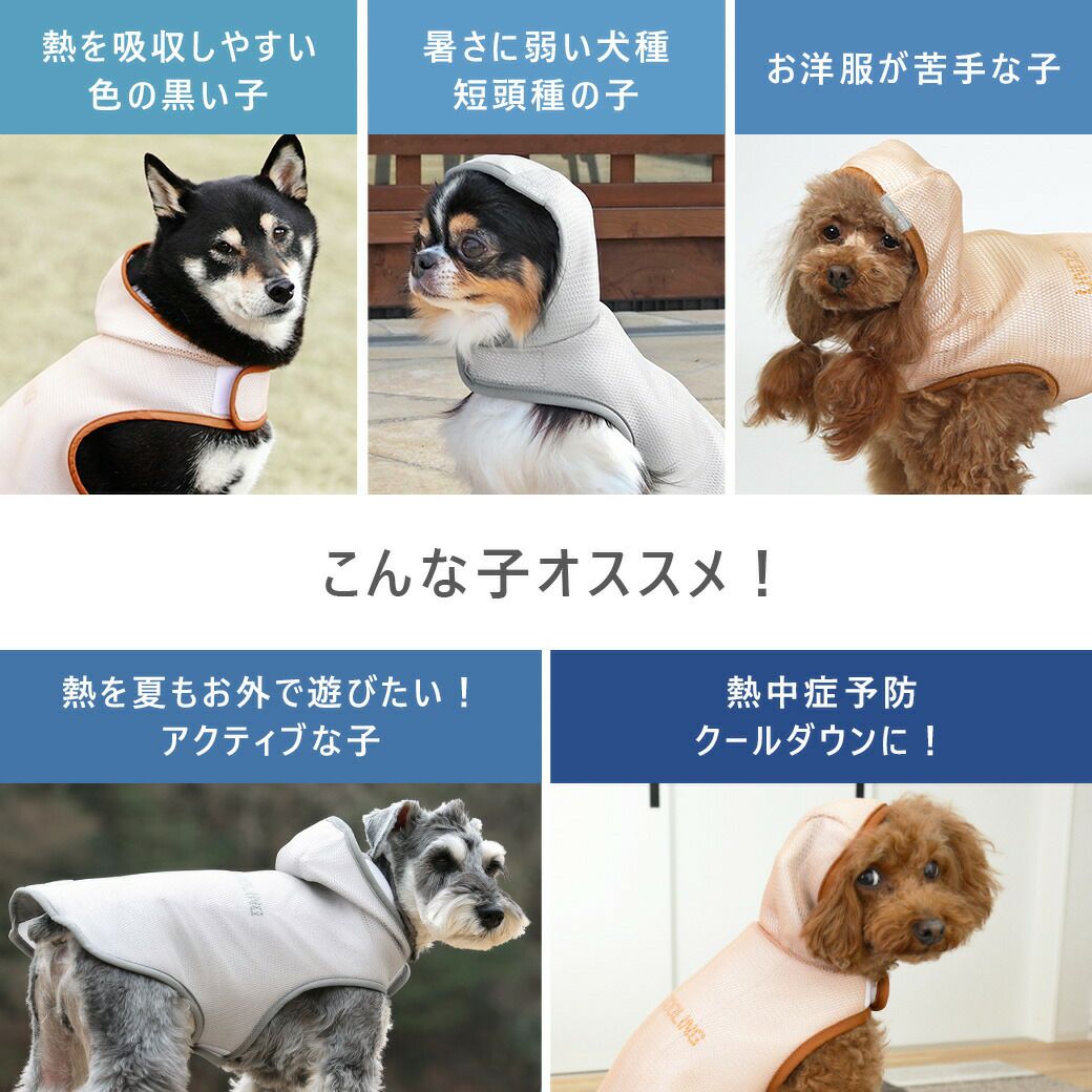 こんな子におすすめ