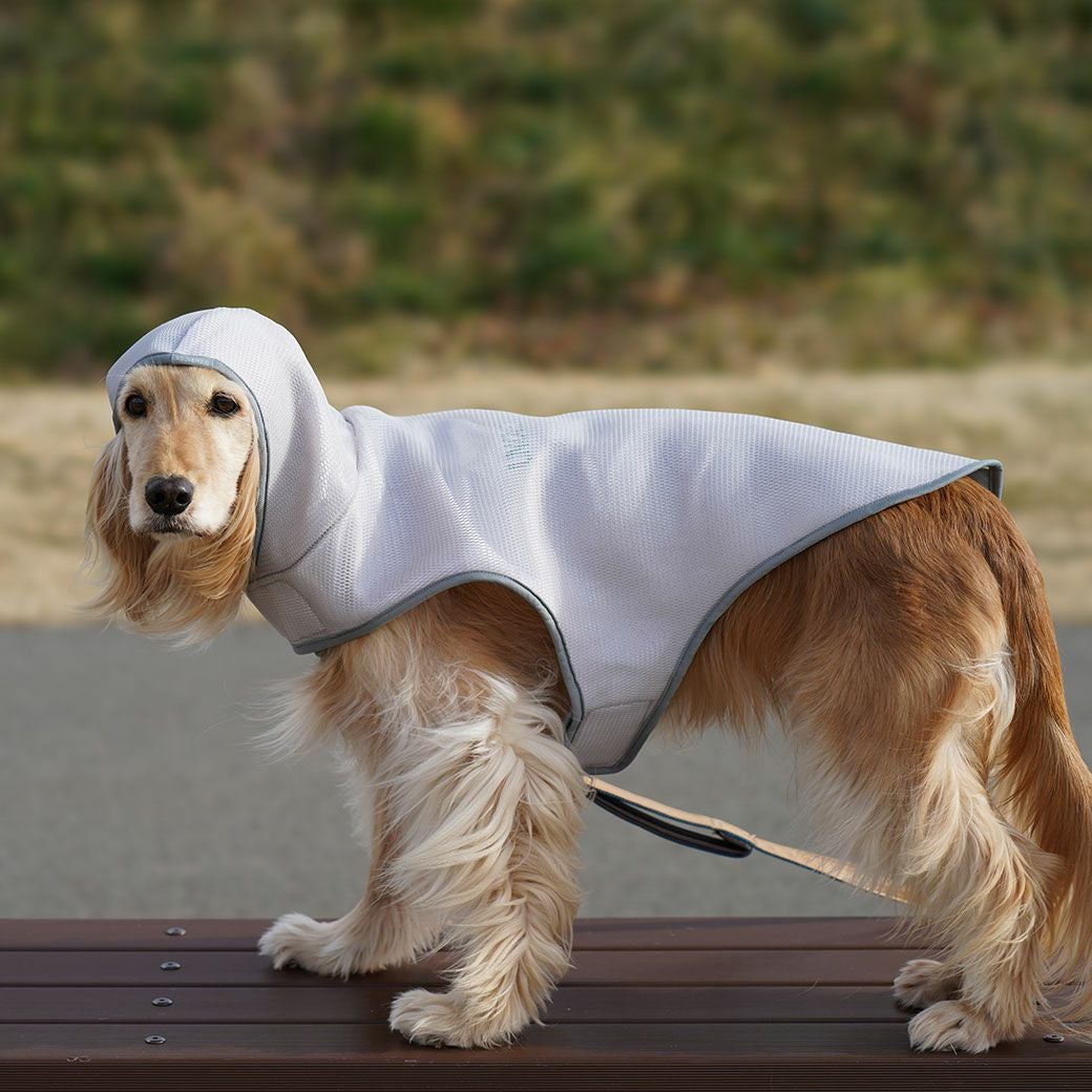 MIX12.0kg(首37/胴53/丈50cm)のクレヨンちゃんはグレーのLarge-Sを着用