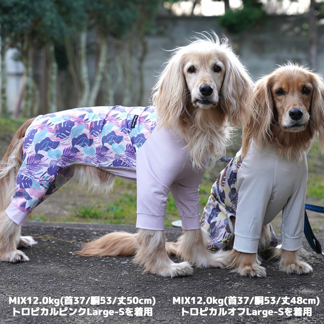 MIX12.0kg(首37/胴53/丈50cm)のクレヨンちゃんはトロピカルピンクのLarge-Sを着用MIX12.0kg(首37/胴53/丈48cm)のはちみつちゃんはトロピカルオフのLarge-Sを着用