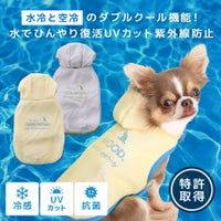 iDogAQUAHOLDひえひえ冷却中!愛犬用クールポンチョアイドッグ