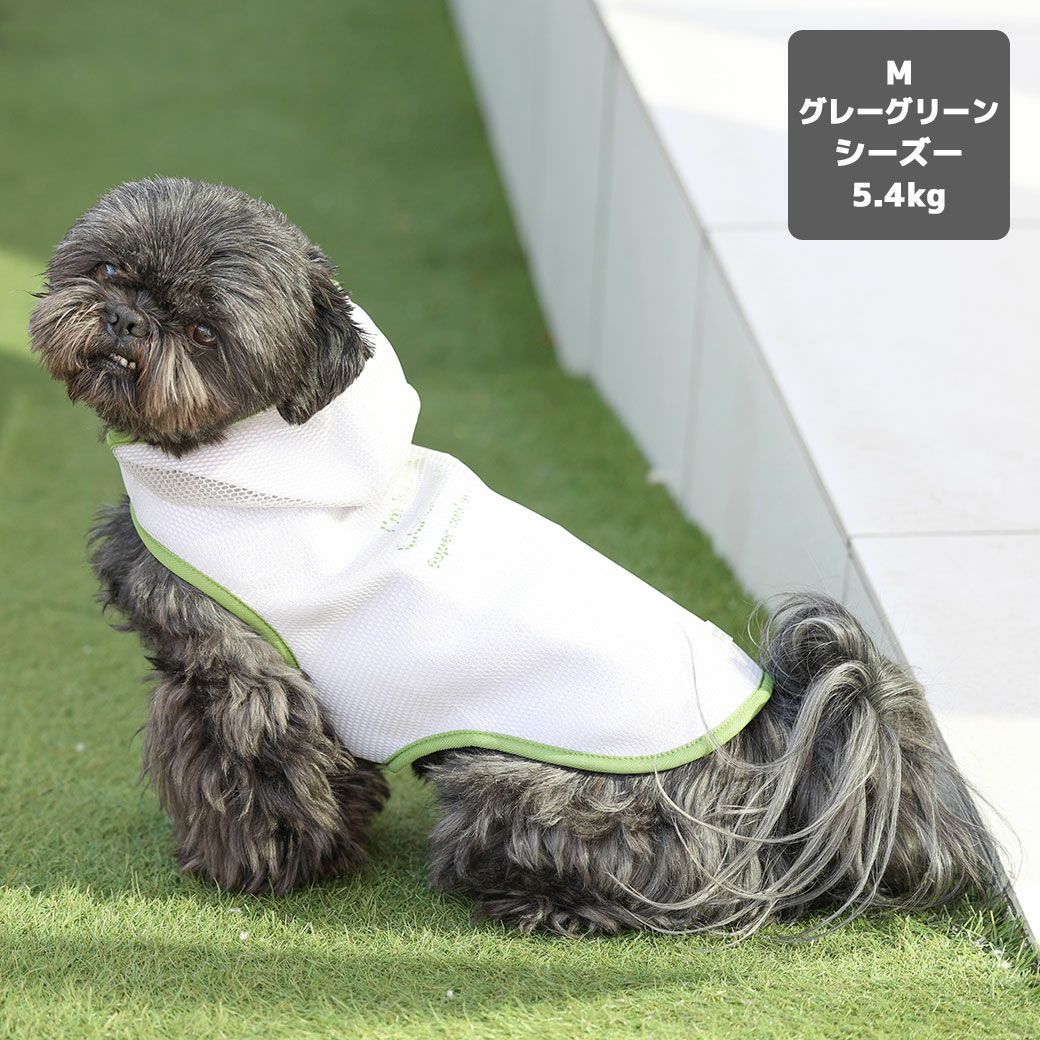 シーズー5.4kg(首26/胴38/丈38cm)のつぶくんはグレーグリーンのMを着用