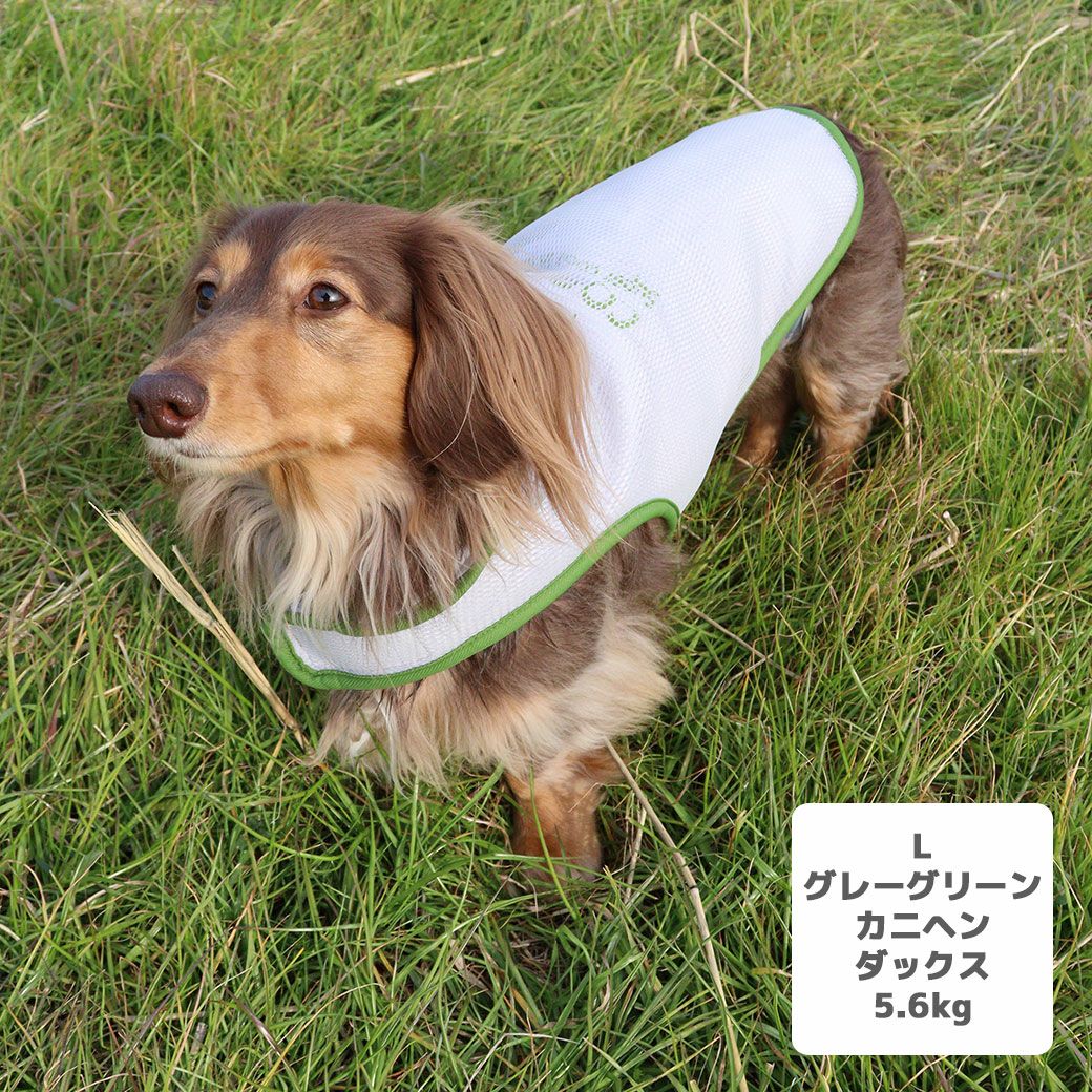 iDog AQUA HOLD ひえひえ冷却中!愛犬用クールポンチョ アイドッグ-犬猫
