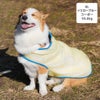 コーギー10.6kg(首36/胴51/丈37cm)のラテちゃんはイエローブルーのXLを着用