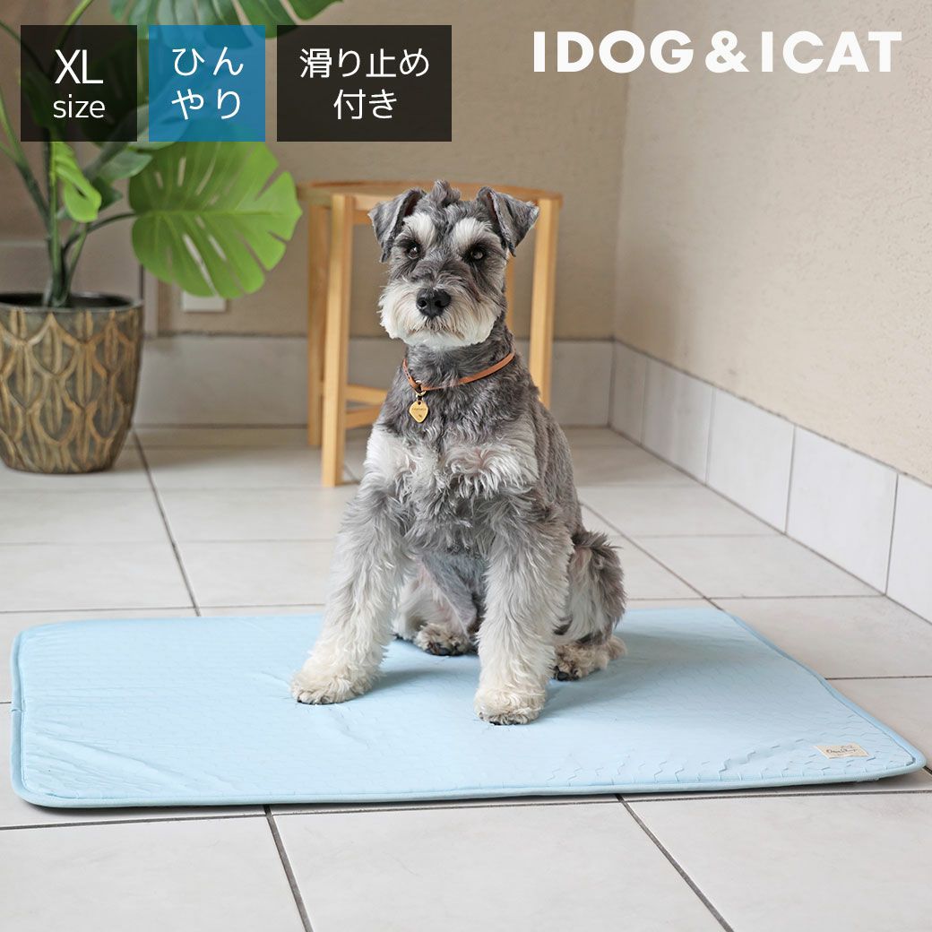 【未使用タグ付き】45R 北海道本裏毛のセイルハット　サイズ1 コットン100% IDOG&ICAT ひんやり吸熱敷きパッド PCM XLサイズ アイドッグ-犬猫用品