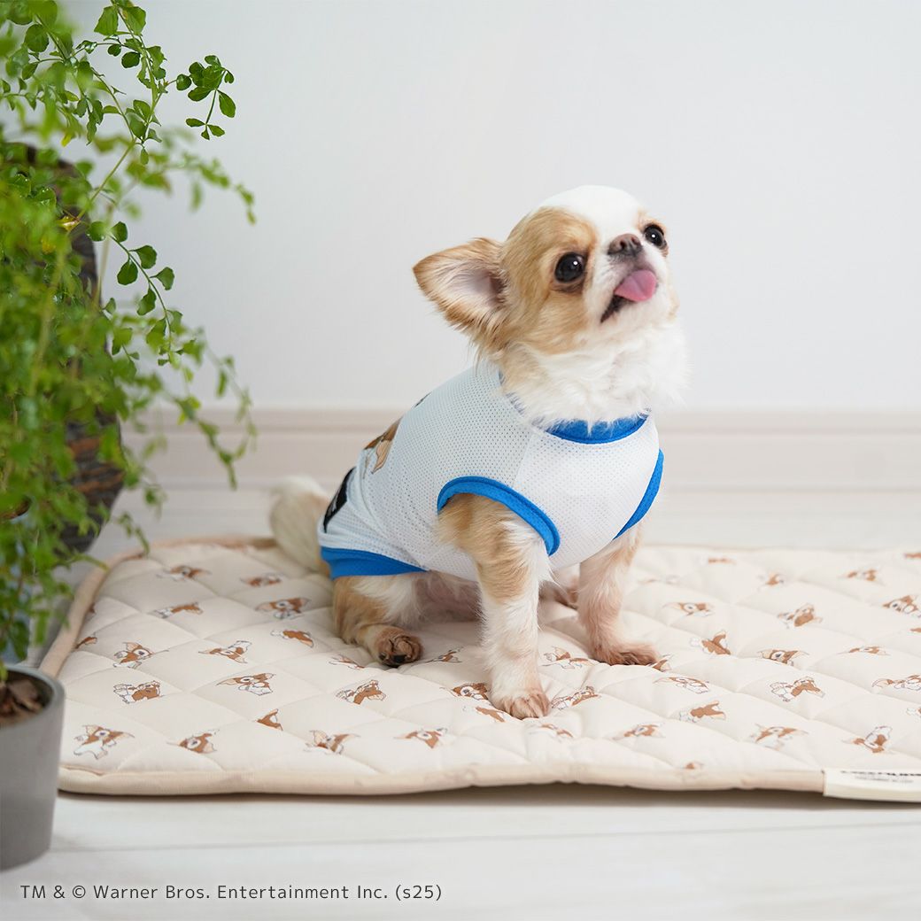 IDOG&ICAT クールステイキルトマット キャラクター 接触冷感 抗菌 防臭