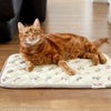 アメショ7.0kg(首28/胴48/丈28cm)のタラくんはトム&ジェリーを使用