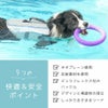 愛犬の快適性と安全性を重視