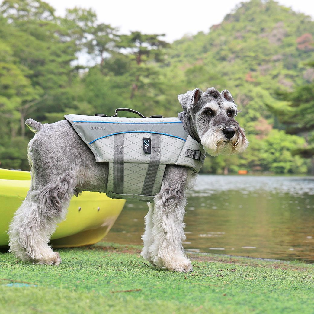 iDog TREKNINE X-PAC 高耐久フローティングベスト トレックナイン アイ