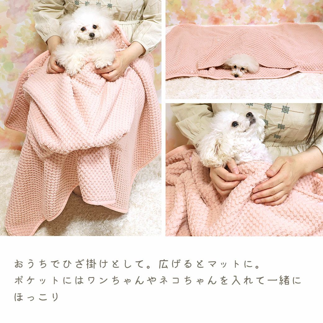 IDOG&ICAT iDog fleur 一緒にぬくぬくブランケット アイドッグ-犬猫