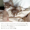 使い方いろいろ！1枚で大活躍
