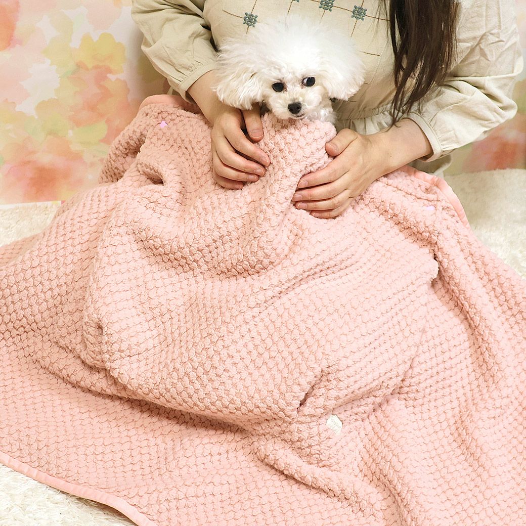 IDOG&ICAT iDog fleur 一緒にぬくぬくブランケット アイドッグ-犬猫