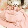 トイプー1.2kg(首15/胴26/丈19cm)のマユリちゃんはマカロンピンクを使用