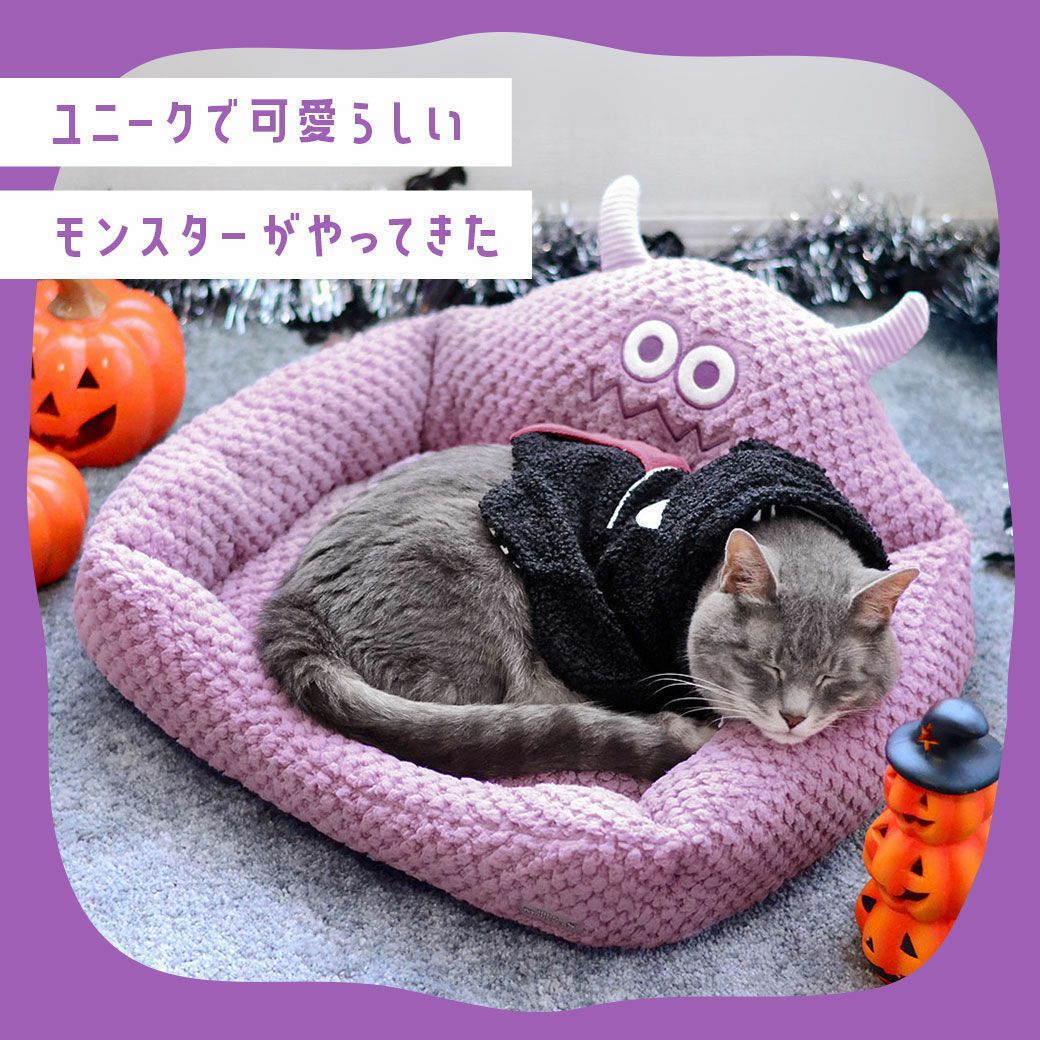 iDogにやってきたユニークなモンスターくん