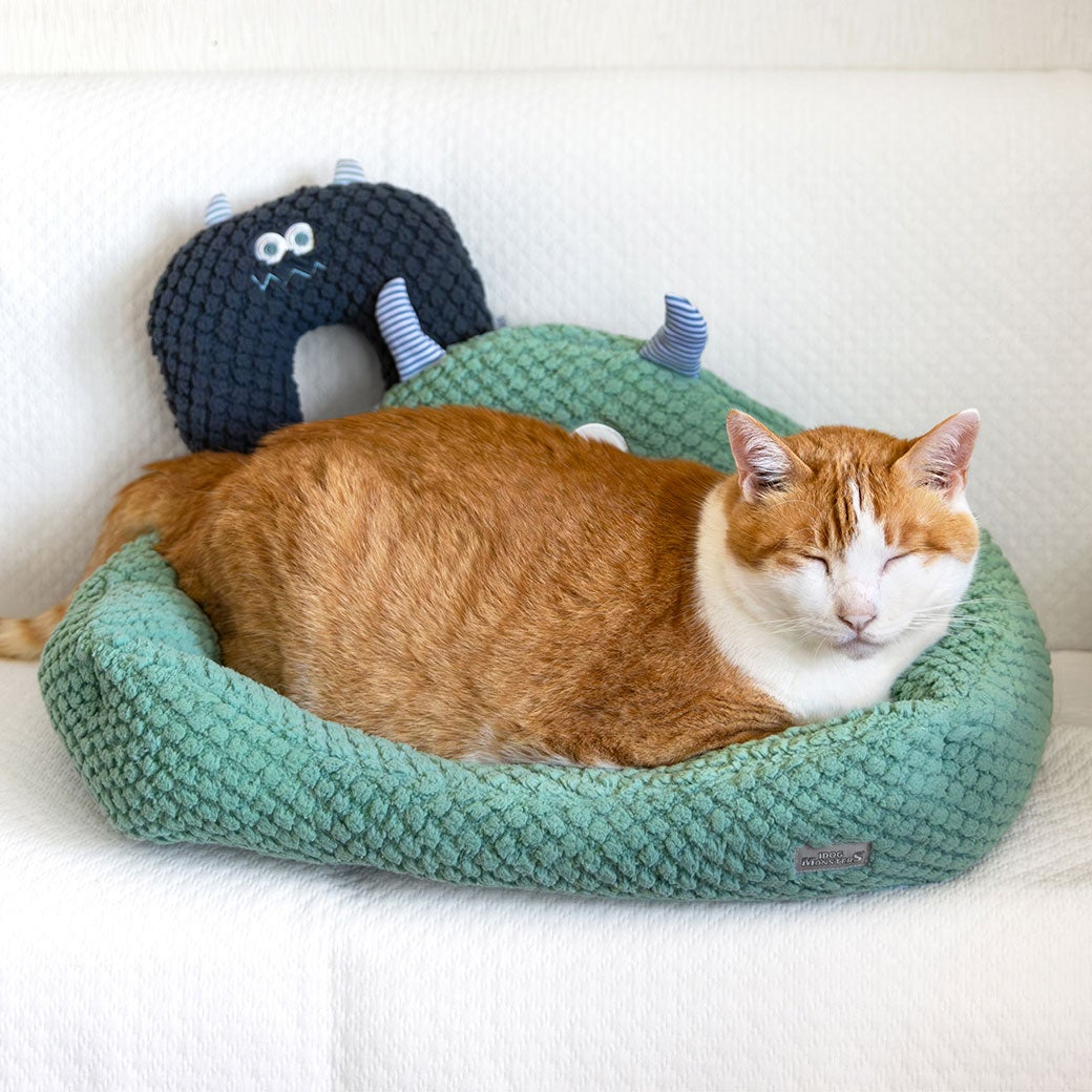 MIX8.6kg(首25/胴54/丈34cm)のゆづるくんはもふもふターコイズを使用