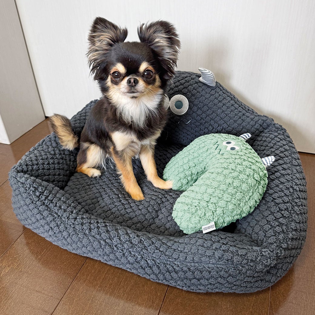 チワワ1.8kg(首19.5/胴27.5/丈22cm)のざらめちゃんはもくもくチャコールを使用