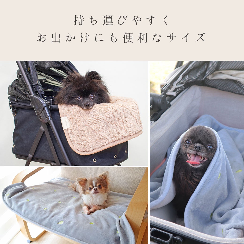 持ち運びやすくお出かけにも便利なサイズ