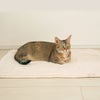 MIX5.1kg(首21/胴40/丈34cm)のニコちゃんはオフホワイトを使用