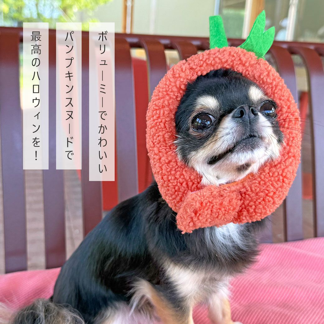 iDog パンプキンスヌード アイドッグ-犬猫用品通販 IDOG&ICAT|ペット 犬 服