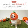 愛犬・愛猫がかわいいパンプキンに変身！