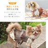 1枚でも重ね着でも着回しできる便利なお洋服
