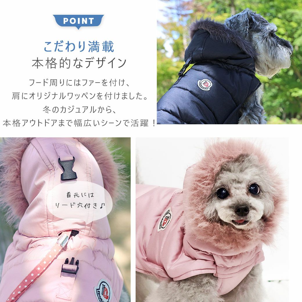 こだわり満載の本格的なデザイン