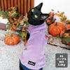 MIX3.0kg(首16.5/胴29/丈43cm)の十花ちゃんはパープルのDS着用