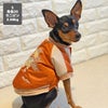 ミニピン2.56kg(首21/胴35/丈22cm)のルナちゃんは朱色26のSを着用