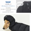 小物使いでオシャレにコーディネート